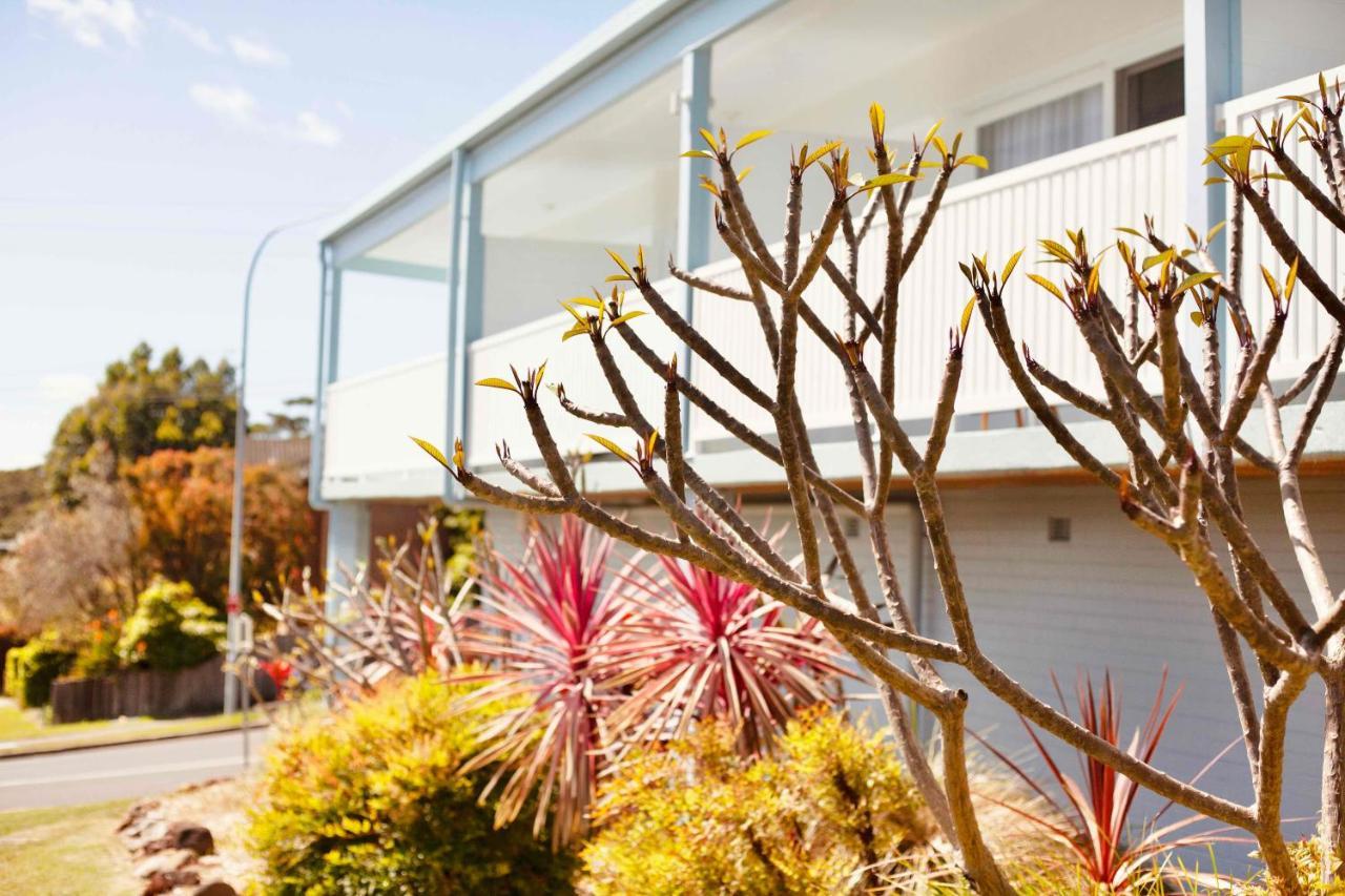 Mollymook Motel エクステリア 写真